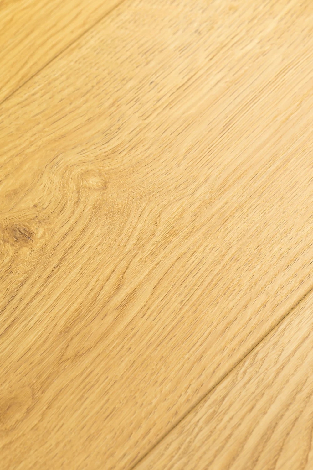 Дуб Твилль | Tvill oak 1F419