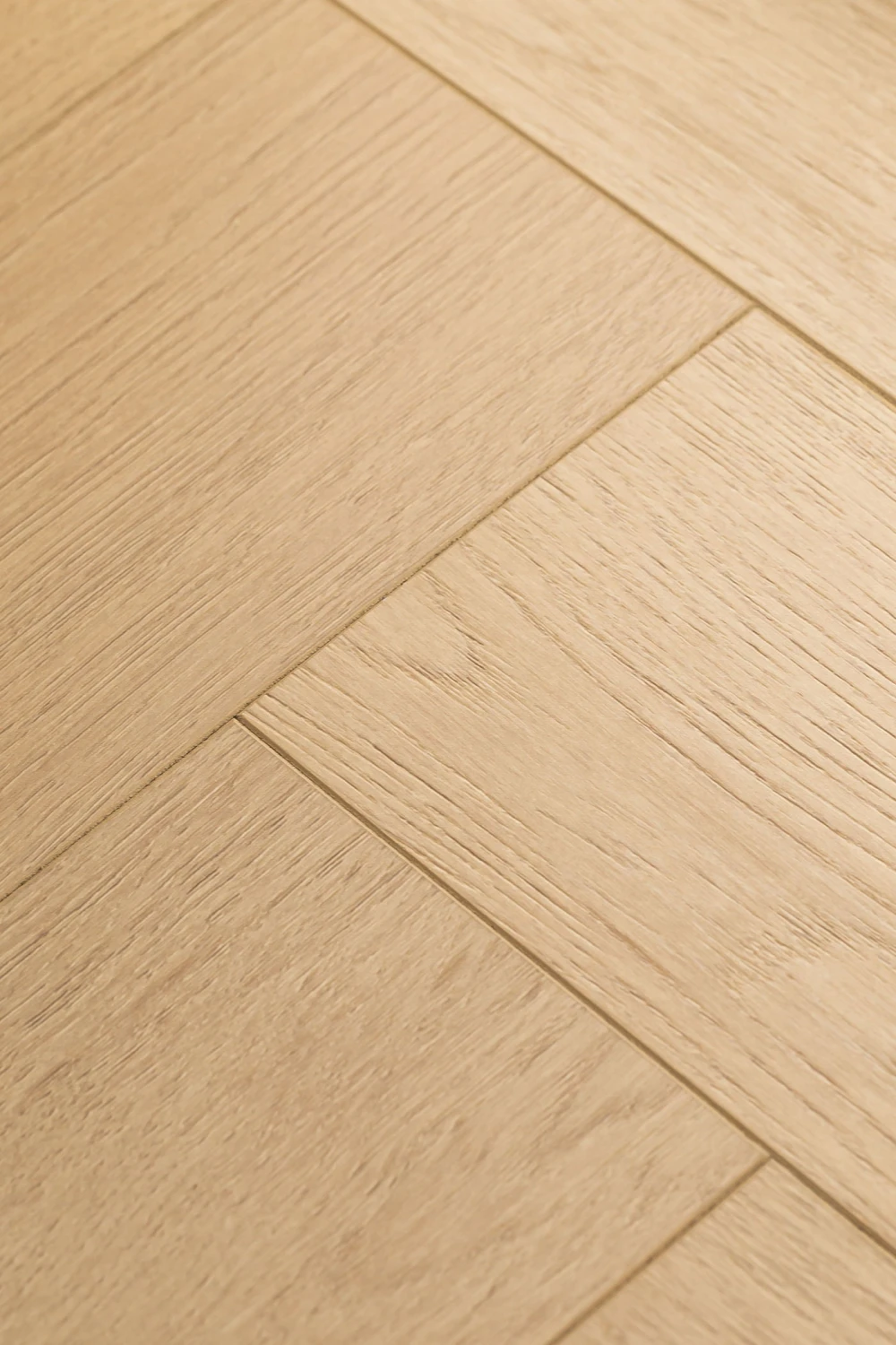 Дуб Одалиска | Odalisque oak 1F442