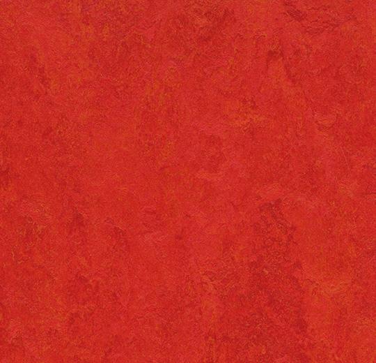 313135 scarlet