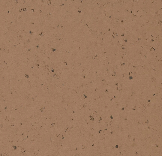 50966 morning dune