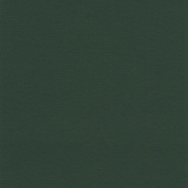 101-035 racing green