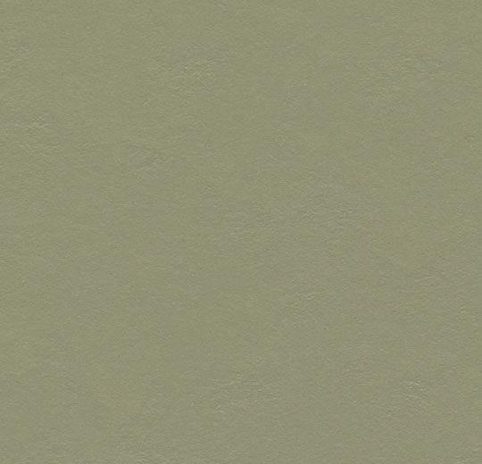 335535 rosemary green