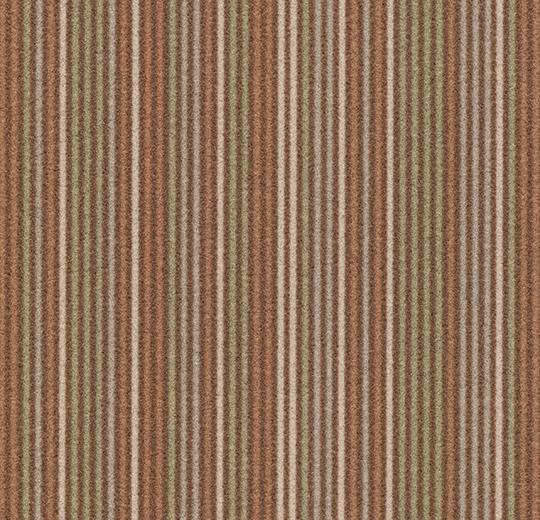 t550010/t553010 Complexity straw