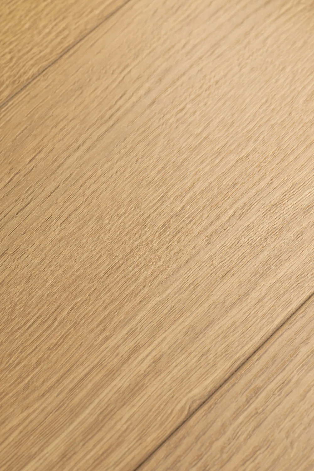 Дуб Жаккард | Jaccard oak 1F418