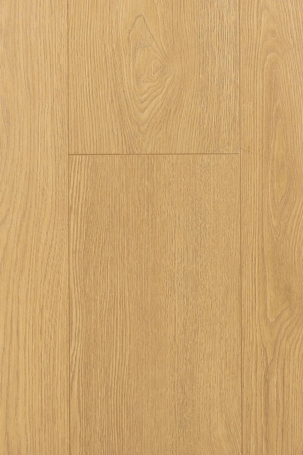 Дуб Гравитас | Gravitas oak 1F321