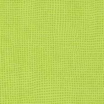 0515 Kiwi