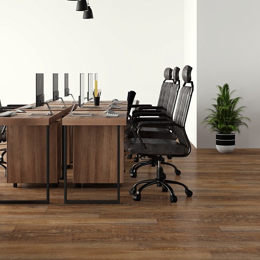845 Canadian Oak