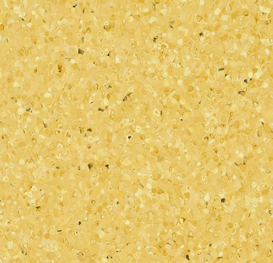 50528 sunlight