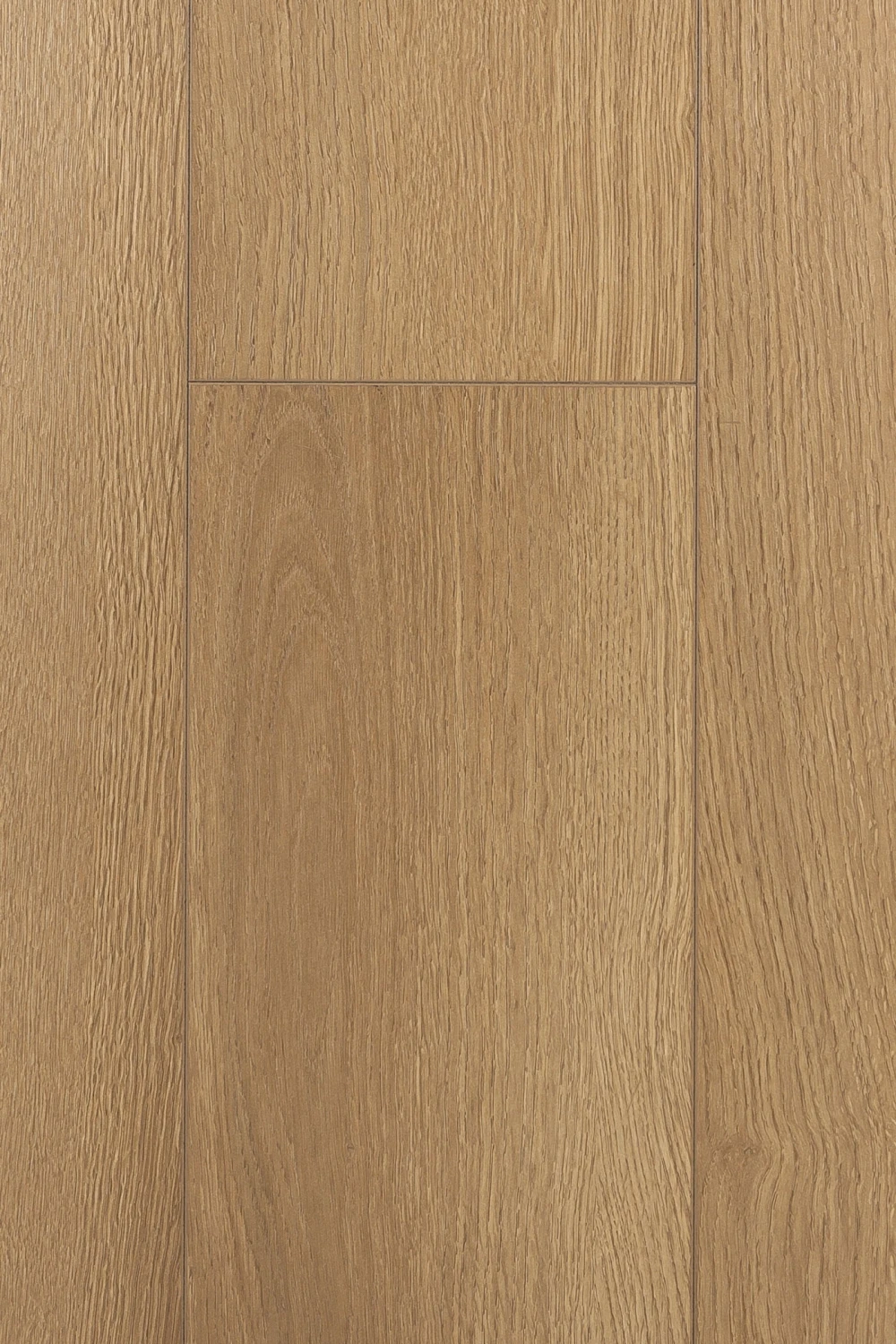 Дуб Жаккард | Jaccard oak 1F418