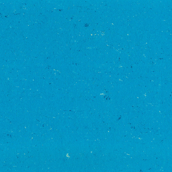0123 Poppy Blue