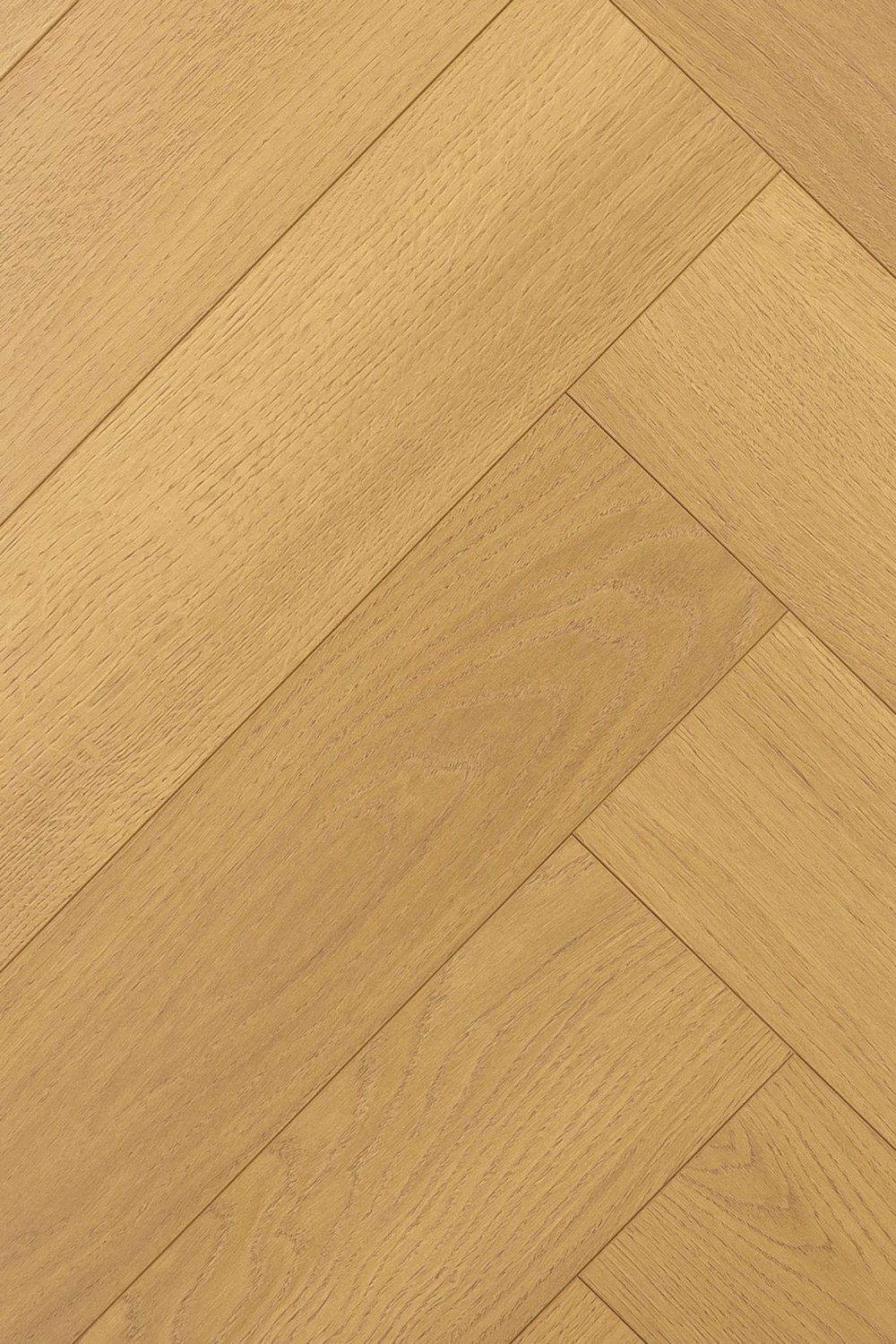 Дуб Эква | Equa oak 1F338