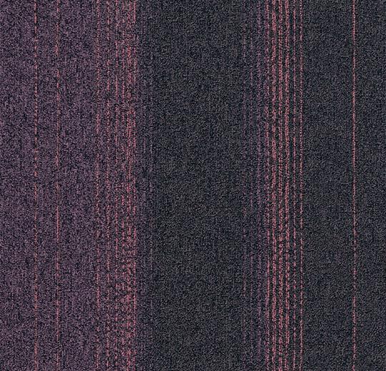 2814 heliotrope