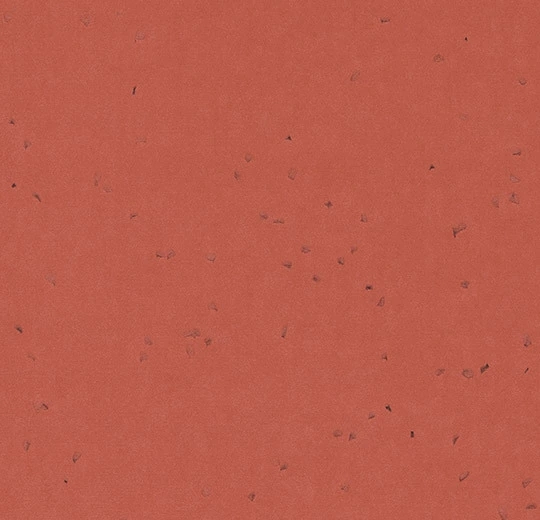 50265 chili