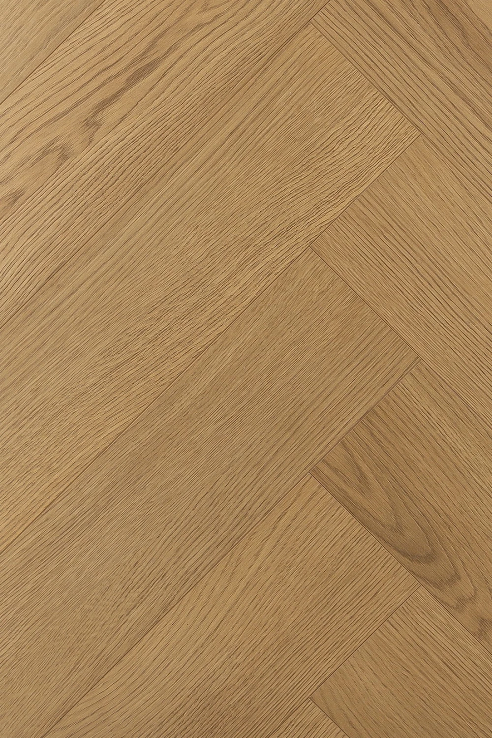 Дуб Новарис | Novaris oak 1F341