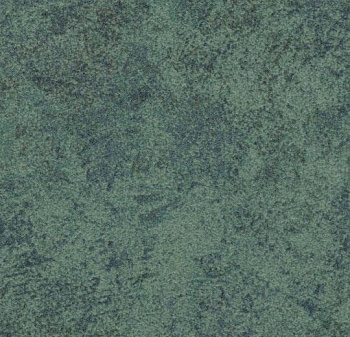 t590009 Calgary moss