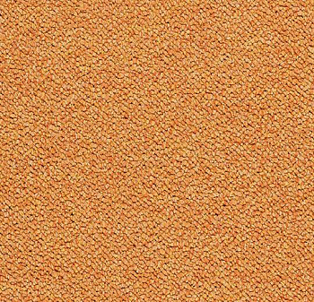3623 tangerine