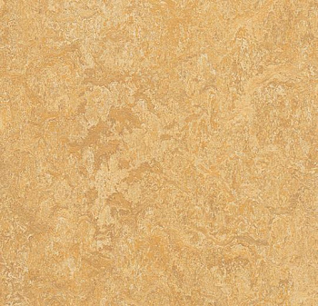 317335 Van Gogh