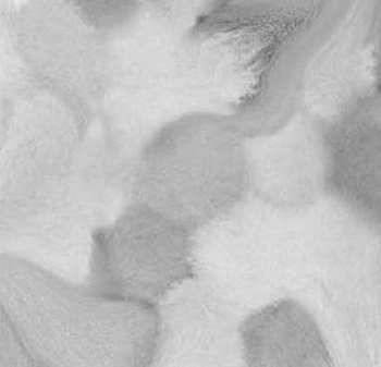001595 Welcome to Jupiter Grey