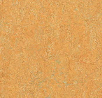 384735 golden saffron