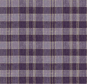 590013 Plaid Berry